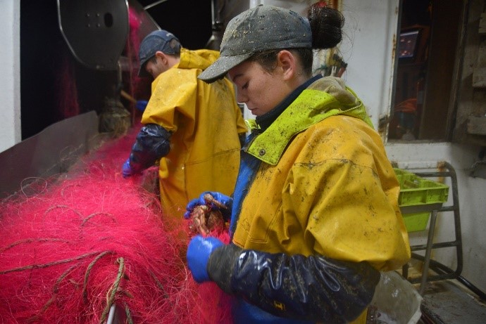 kelly_490x276_acf_cropped