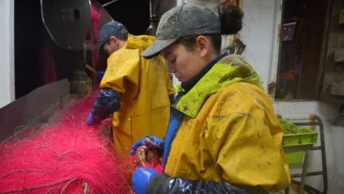 kelly_490x276_acf_cropped